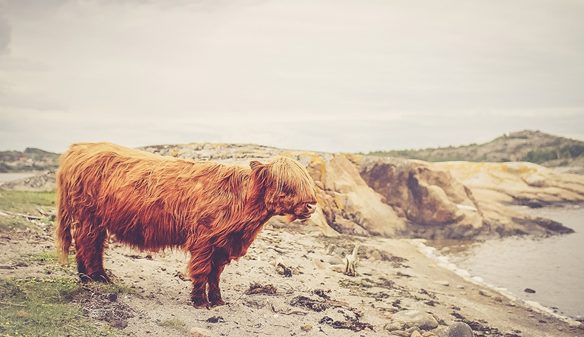 短信验证码轰炸卡盟免费