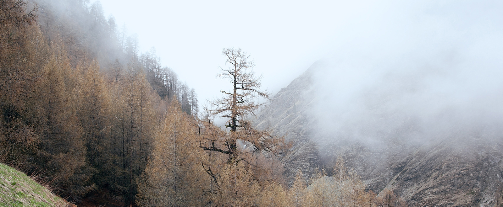 在线电话压力测试