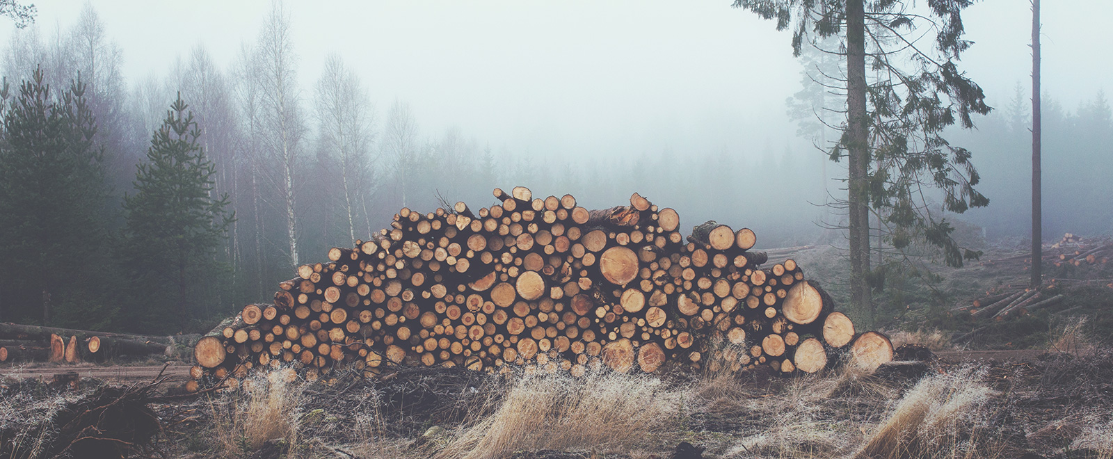 电话连环云呼叫软件